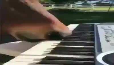 Damn he got dem pipes 😳