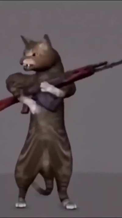 The photographer finally got a good angle of me 😊