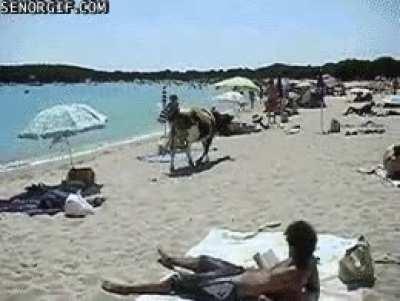 It won't bother them if I get a little sun right?