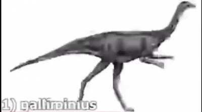 top 308 best dinosuars !!