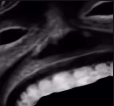 Final rough draft for my remake of the phonk video