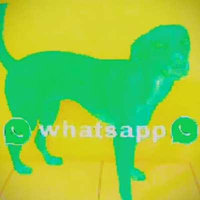 Bob Wicks finally flushed grandma's corpse out of the river