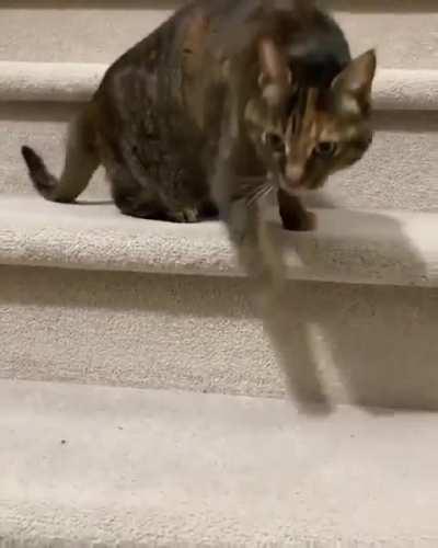 When just walking down the stairs is already boring