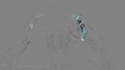 Tickle JOI, worth it for the soles