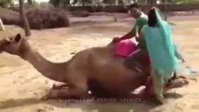 Surya please come to Rajasthan 🥰🥰😍