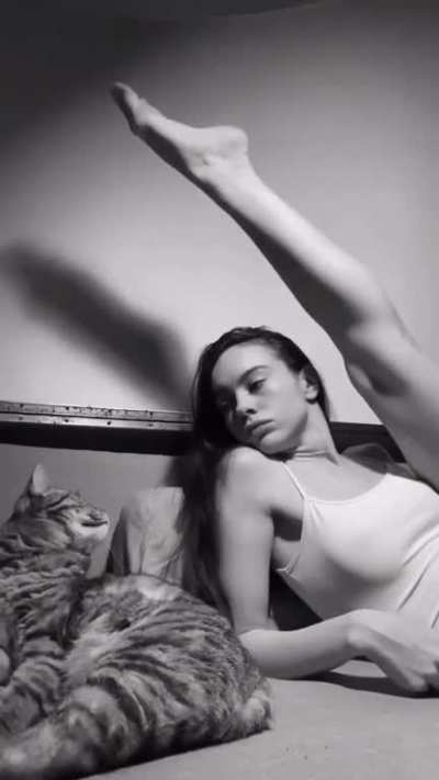 Imagina se o gato tivesse lambendo outro lugar...