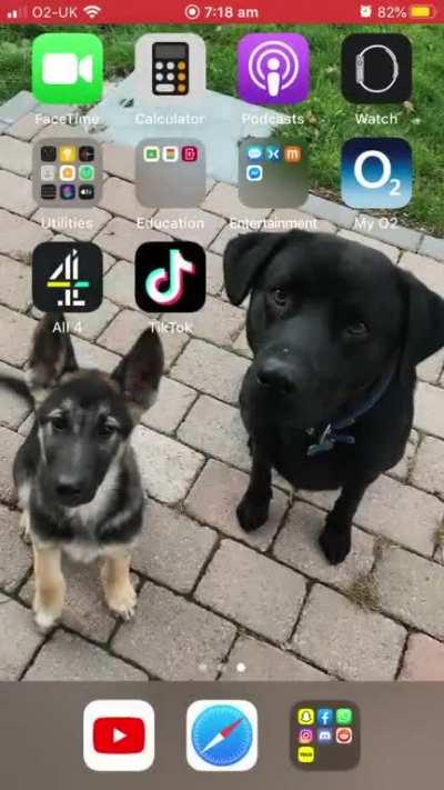 Used it for 5 mins and I want to destroy it