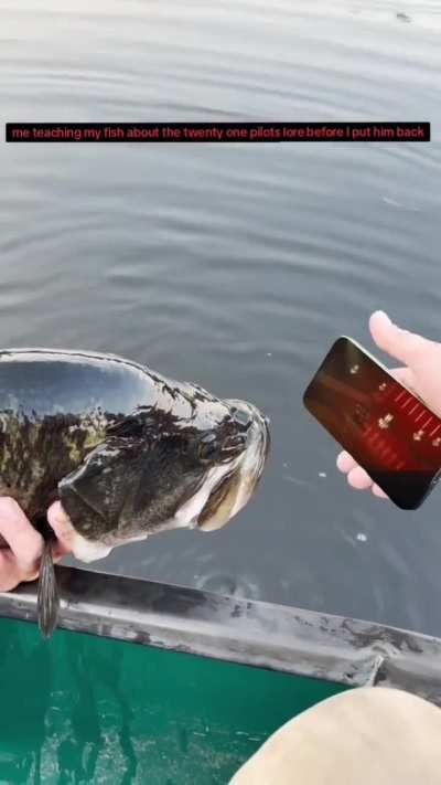 Teaching this fish about the lore real quick..