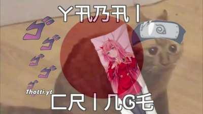 “otaku” meet each other