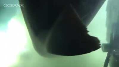 The way his eye rolls back is the cherry on top.