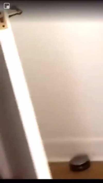 Wits Hapnin wee chap