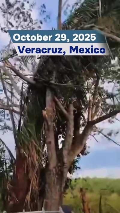 October 29, 2025 | Extreme Weather Events & Natural Phenomena Worldwide