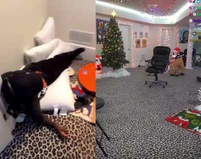 Kai be doing anything 😭😭