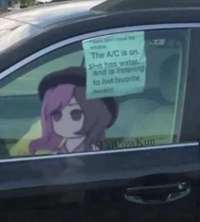 (FatCowKun) Neo rocking to music in a car fan animation