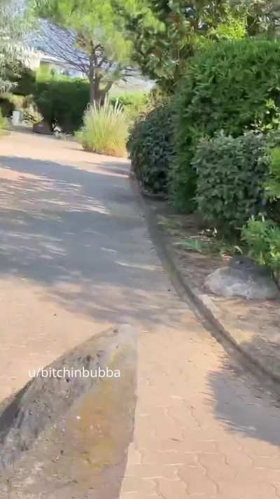 Naked and spanked in public with strangers watching