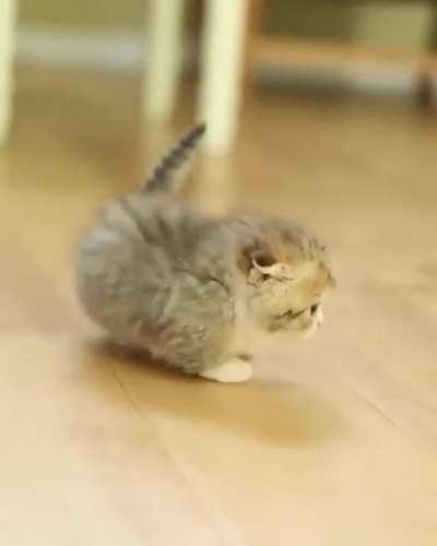 It's make everyone's day