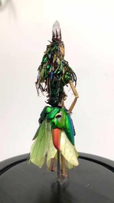 I make characters out of insect parts. This is Ruja, a forest fairy
