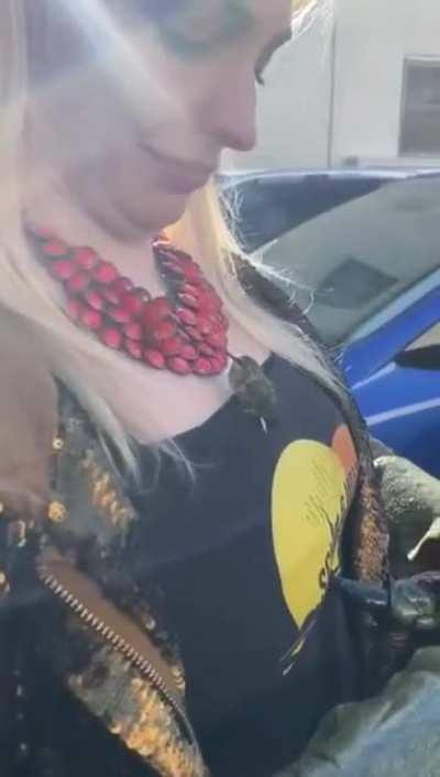 Hummingbird mistakes necklace for flower