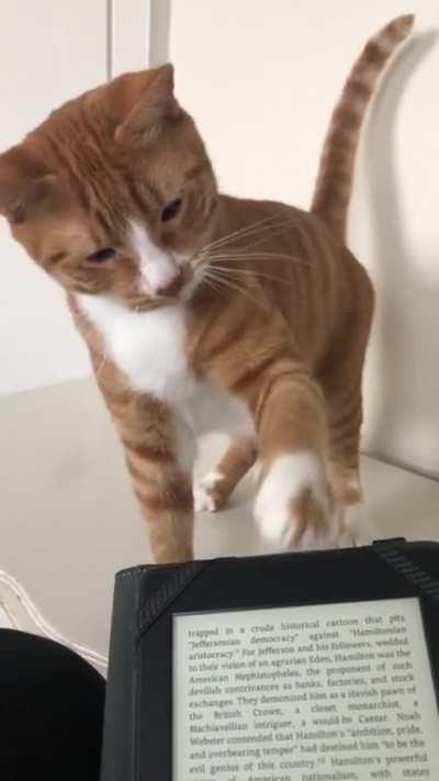 Must be a scary story.