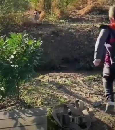 Wcgw jumping over this water