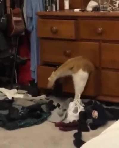 Those hips don't lie