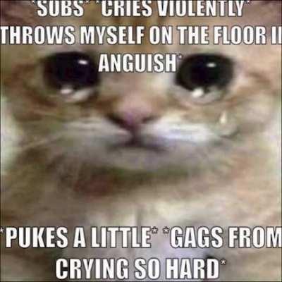 Sad cat does not have a very good day :(