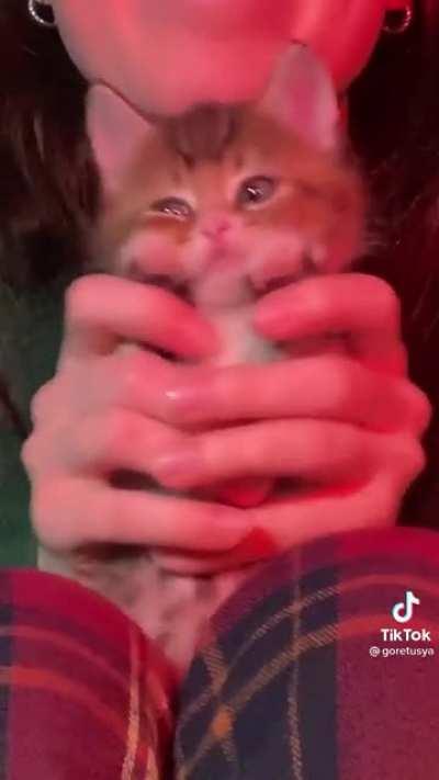 This is so adorable 🥺 | credit: @goretusya on TikTok
