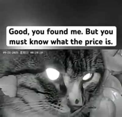 Bien, me encontraste. Pero debes saber cuál es el precio...