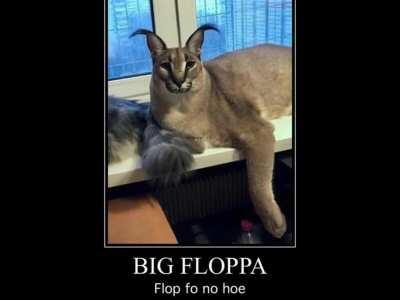 big floppa's new single leak. yet another banger.