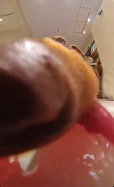 What my refrigerator sees when I say I'm on a diet 😅