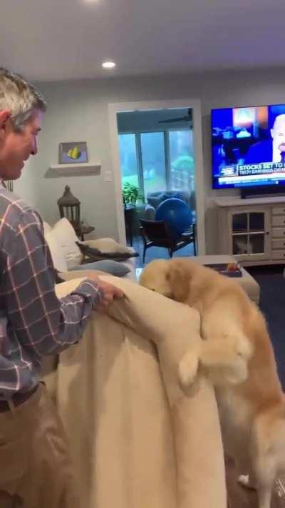 Lending a helping paw