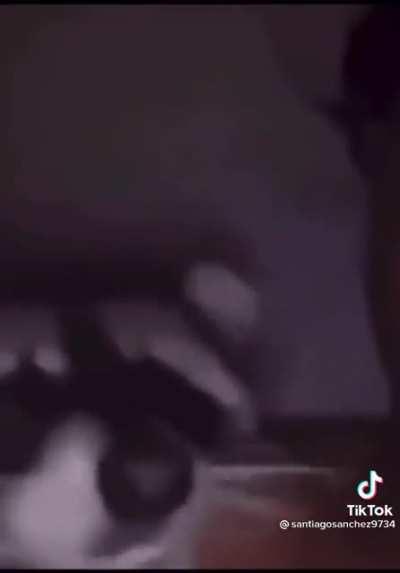 jakertown - Video #1208