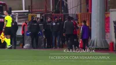 Dog interrupts first tier football game to play with match ball