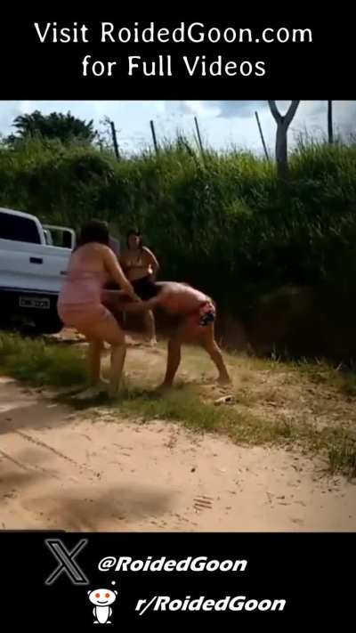 Girl Fight Compilation