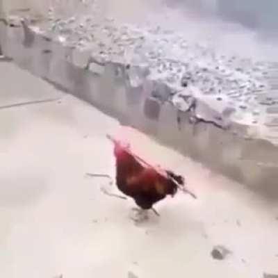 most technologically advanced bosnian weapon