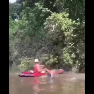 Regret hitting the tree