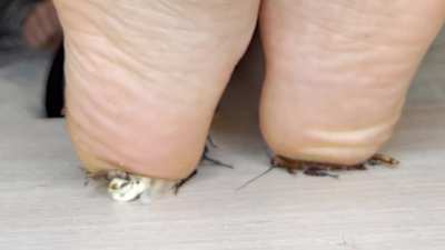 Here's another compilation for y'all. This is Claire from Dream Crush. Once again made from downloaded sample clips from the site and with added close ups and slow motion effects. Barefoot and inshoe are again the theme.