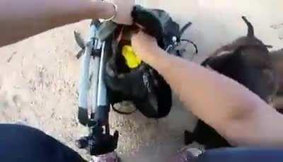 Motorcyclist goes for a stroll in highway