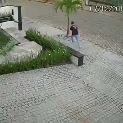 A man sees a tree while walking and suddenly begins to attack it
