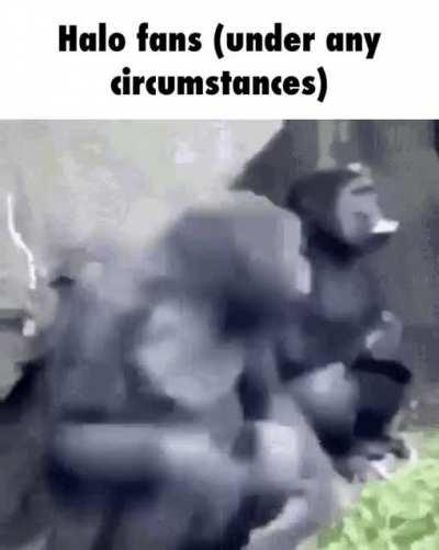 r/Halo every nanosecond