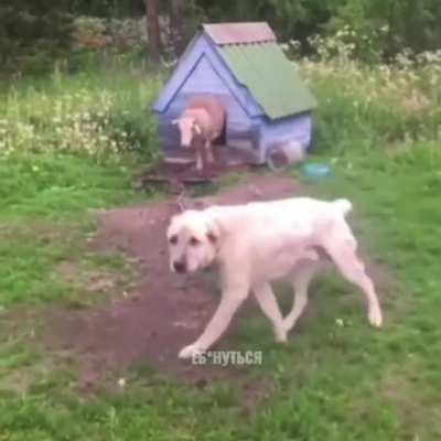 Totally, nothing going on here!