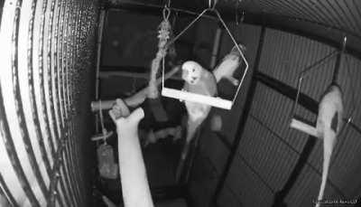 Sometimes the balance just isn't there when you're sleepy