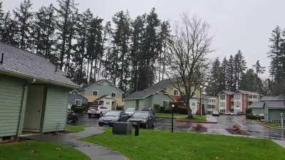 I know posting rain in the Pacific Northwest is playing the game on easy, but as a transplant, I love the frequency of rain in this region!