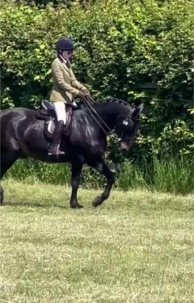 Our first Ridden Veteran win of the season, out of a class of 10.