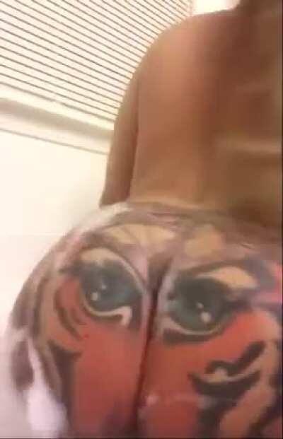 🐯🐯