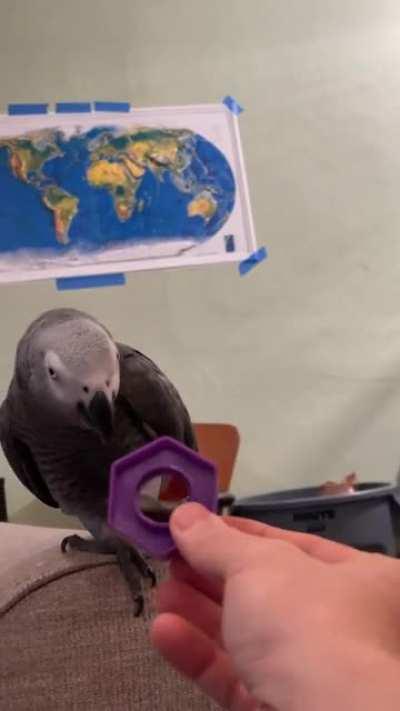 What did he mean by this 🤔