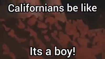 Officer can you blame a man for doing it for the vine