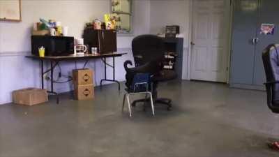 Rodolfo, o cachorro baiano gamer...