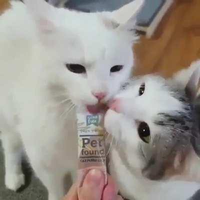 That’s one way to get a turn…