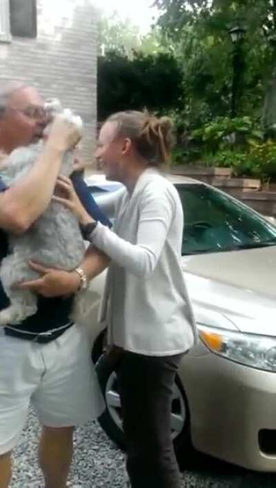 Happy freakout: Dog passes out from joy after seeing its owner for the first time in 2 years -old but gold